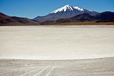 Parque los flamencos Şili