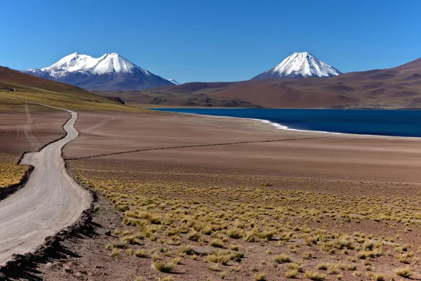 Parque nacional los flamencos — Stock fotografie