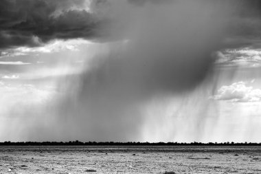 duş etkin Pan Namibya