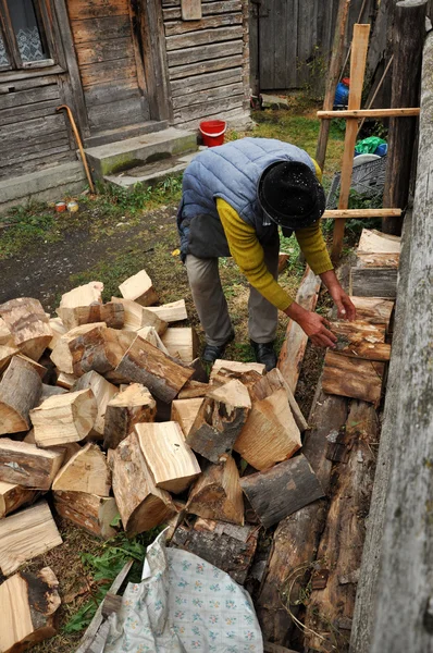 Elder man prepares the firewood for wintertime — Stock Photo, Image