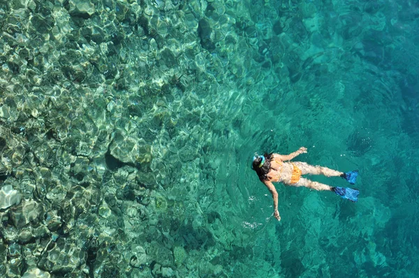 Fiatal nő fürdőruha snorkeling a tiszta sekély trópusi tenger — Stock Fotó