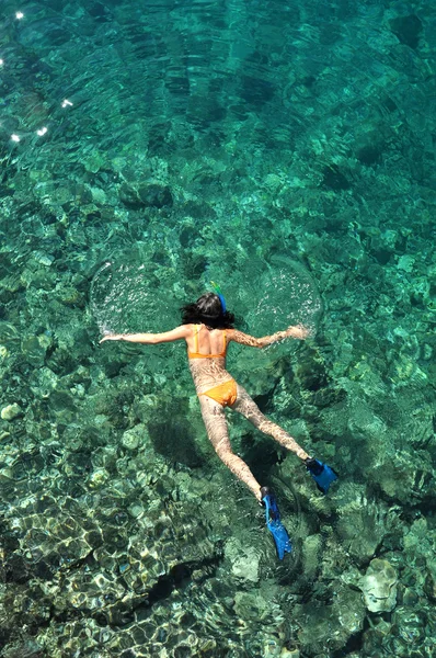 Молодая женщина в купальнике ныряет с маской в чистом неглубоком тропическом море — стоковое фото