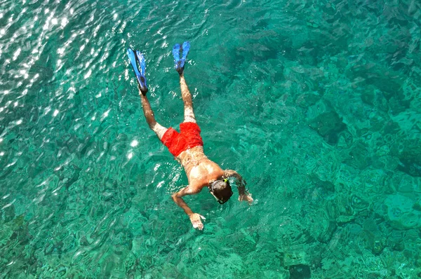 Hombre haciendo snorkel en un mar tropical —  Fotos de Stock