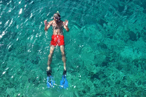 Snorkeling man in the sea — Stock Photo, Image