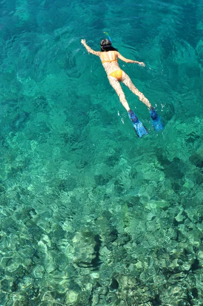 투명 한 얕은 바다에서 스노클링 하는 젊은 여자 — 스톡 사진