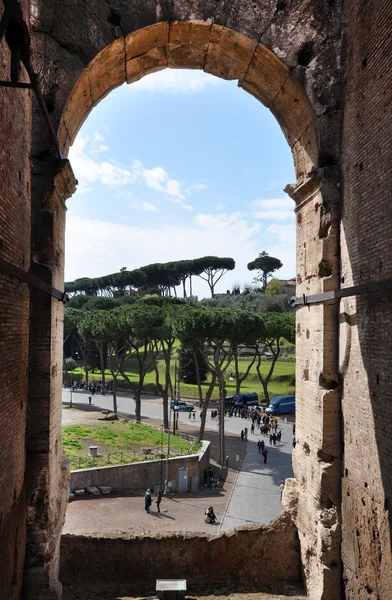 Le Colisée de Rome, Italie — Photo