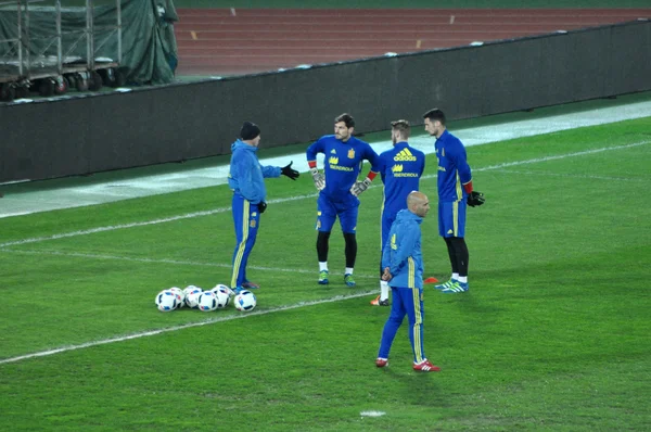 Goleiro da Espanha, Iker Casillas durante a sessão de treinamento — Fotografia de Stock