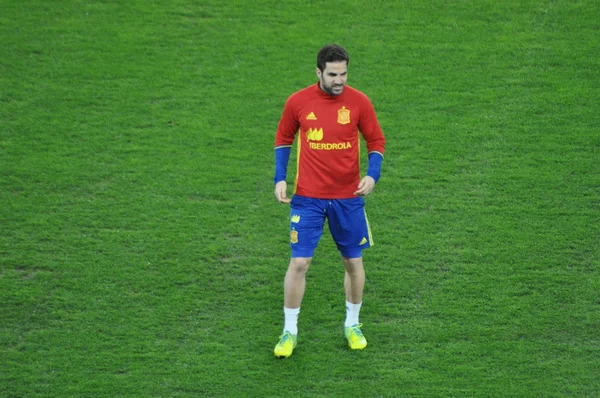 Spanish National Team player, Cesc Fabregas during the warm-up — Stock Photo, Image