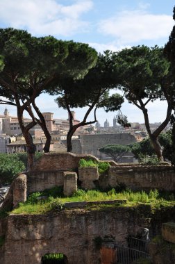 Piazza del Campidoglio Meydanı, Roma