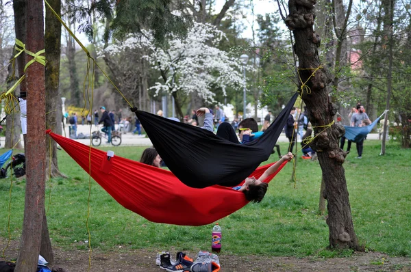 Jovens relaxando em redes no parque — Fotografia de Stock