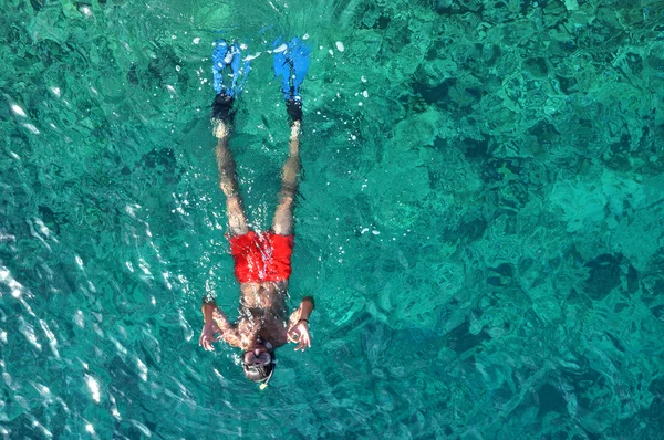 Snorkeling uomo in un mare tropicale — Foto Stock