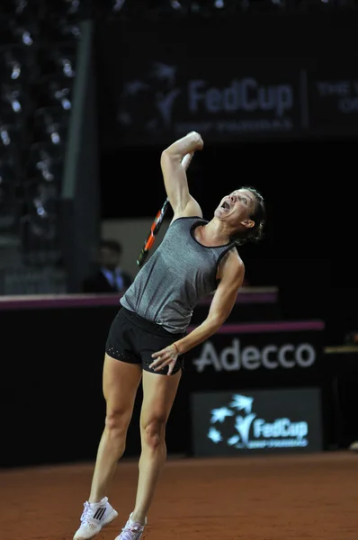 Jugadora de tenis Simona Halep entrenando antes de un partido —  Fotos de Stock