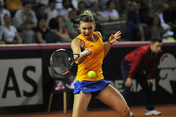 Kadın tenisçi Simona Halep bir oyun sırasında — Stok fotoğraf