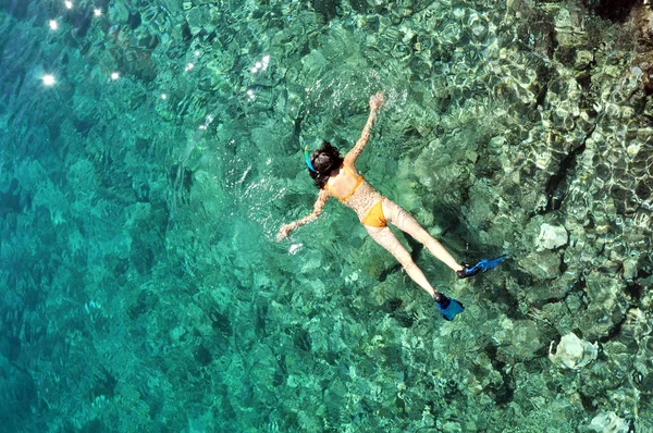 Mujer joven haciendo snorkel en mar transparente y poco profundo —  Fotos de Stock