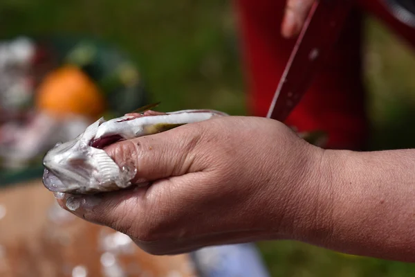 Pêcheur nettoyer un poisson pour le dîner — Photo