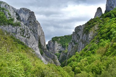 Cheile Turzii gorge, doğal rezerv, Romanya