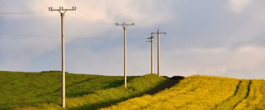 Elektrik direkleri tarım alanı