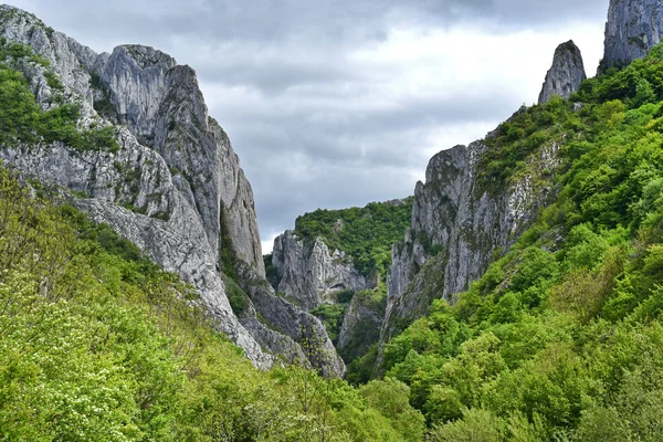 Rezerwat wąwóz Gorge Turda, naturalne, Rumunia — Zdjęcie stockowe