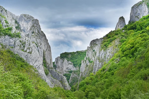 Majesteettinen kalkkikivimuuri. Cheile Turzii, Romania — kuvapankkivalokuva