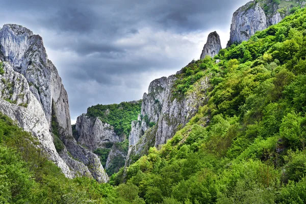 Paisaje de un barranco. Cheile Turzii, Rumania —  Fotos de Stock