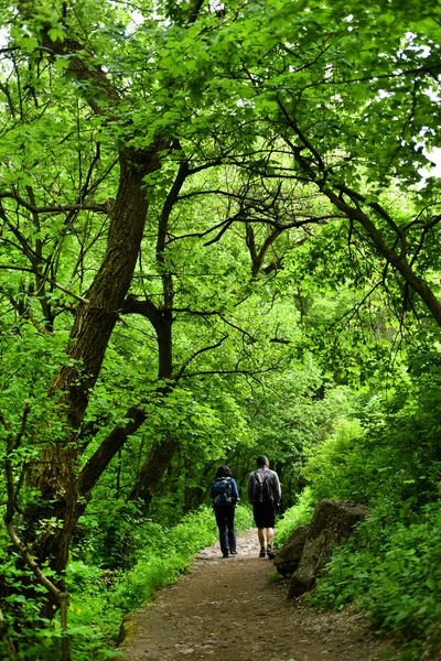 Paar spaziert im Wald — Stockfoto