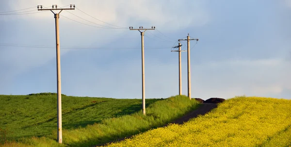 Strommasten auf einem landwirtschaftlichen Feld — Stockfoto