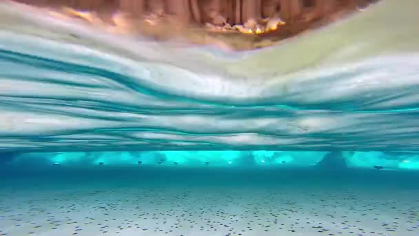Underwater view of the Trevi fountain (Fontana di Trevi) in Rome, Italy. People are throwing coins in the pool for good luck — Stock Video