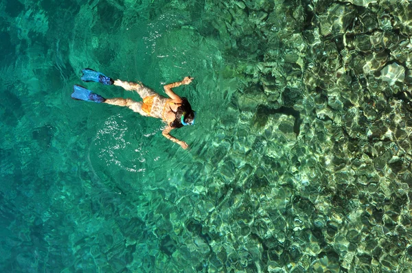 Mujer joven en traje de baño haciendo snorkel en un mar tropical poco profundo —  Fotos de Stock