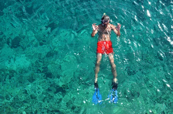 Above view of a snorkeling man — Stock Photo, Image