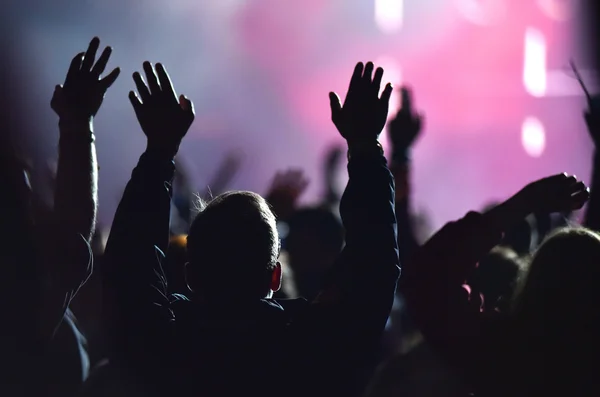 Cheering crowd at live concert — Stock Photo, Image