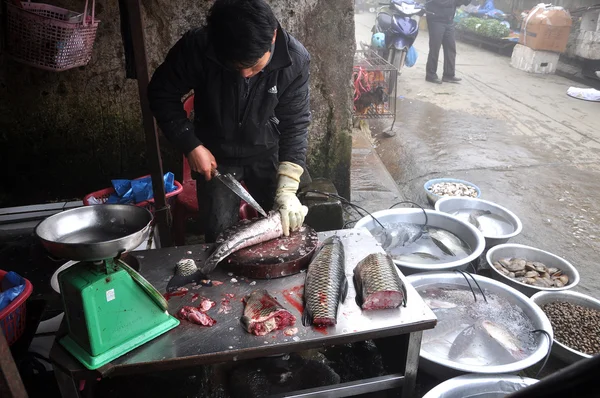 男は腸と魚をきれい — ストック写真