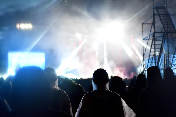 Cheering crowd at a live concert — Stock Photo, Image