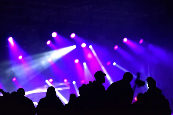 Cheering crowd at a live concert — Stock Photo, Image