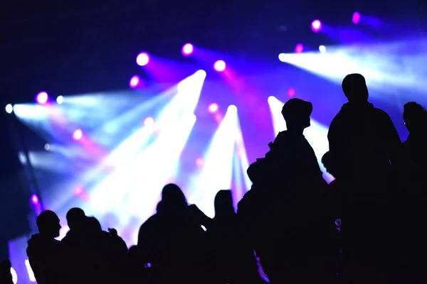 Cheering crowd at a live concert — Stock Photo, Image