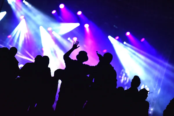 Acclamare la folla ad un concerto dal vivo — Foto Stock