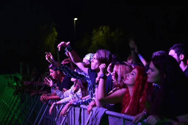Partying crowd in the golden circle at a concert — Stock Photo, Image