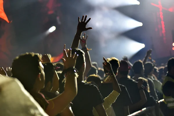 Folle con le braccia alzate a un concerto dal vivo — Foto Stock