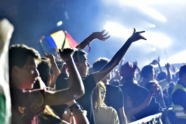 Crowd with raised arms at a live concert — Stock Photo, Image