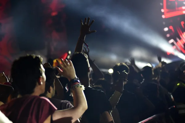 Multitud con los brazos levantados en un concierto en vivo — Foto de Stock