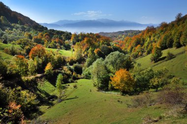 Renkli ormanlı dağ sonbahar manzarası 