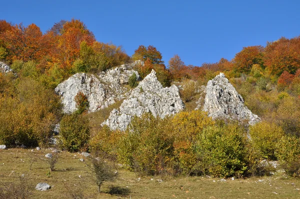 Hegyi őszi táj színes erdőkkel — Stock Fotó