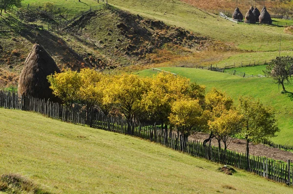 Berg höst landskap med färgglada skog — Stockfoto