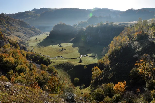 Paisaje de otoño de montaña con bosque colorido —  Fotos de Stock