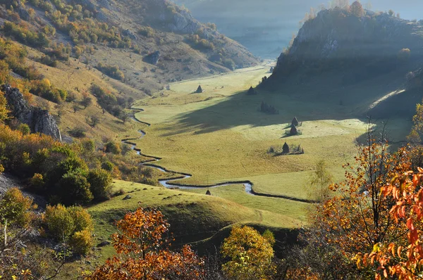 Гірський осінній пейзаж з барвистим лісом — стокове фото