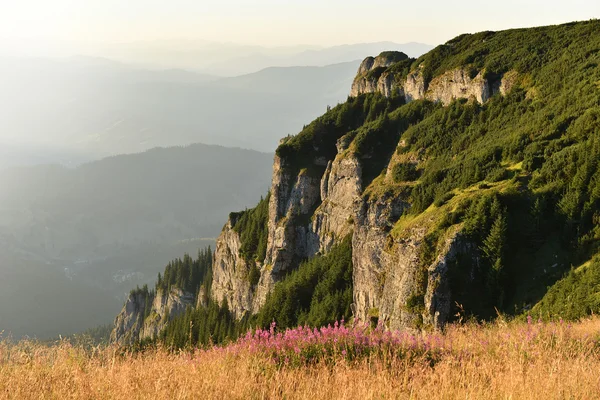 山の風景。Ceahlau 山、東カルパティア山脈、ローマ — ストック写真