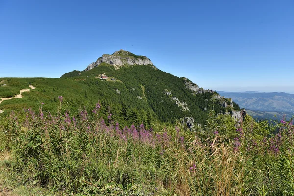 Berglandschaft. ceahlauer berge, östliche karpaten, roma — Stockfoto