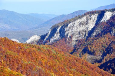 Sonbahar sonbahar. Dağlarda renkli sonbahar orman peyzaj