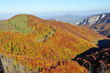 Sonbahar sonbahar. Dağlarda renkli sonbahar orman peyzaj