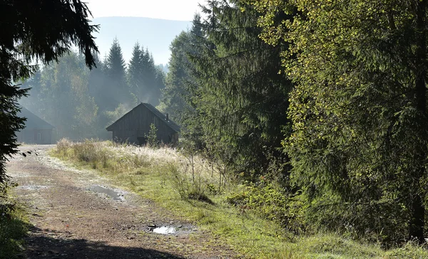 Forest and lodge increased from early morning autumn fog — Stock Photo, Image