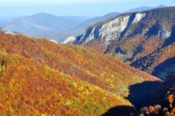 Outono Outono. Paisagem colorida floresta de outono nas montanhas — Fotografia de Stock